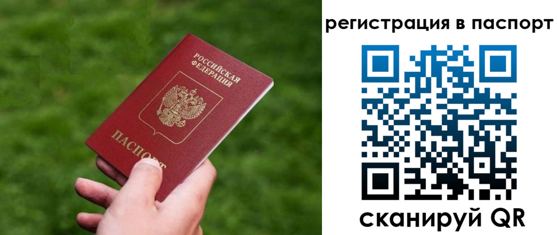 пропишу в квартире в Алексеевке